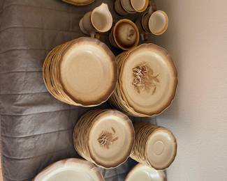 Whole Wheat Mikasa Dish Set