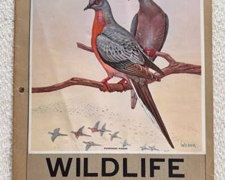 1946 Wildlife Conservation Stamp Album Complete with Stamps