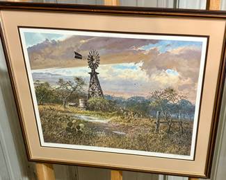 South Texas Windmill