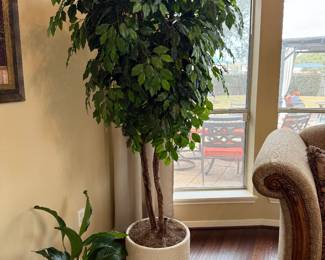 Many different like new trees.