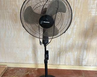 82	40.00	Pelonis fan