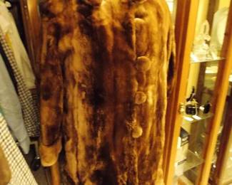 Beaver Coat