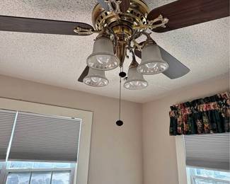 Ceiling Fans