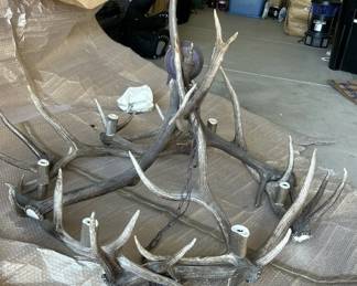 a Deer Antler Chandelier 