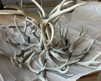 a Elk Antler Chandelier