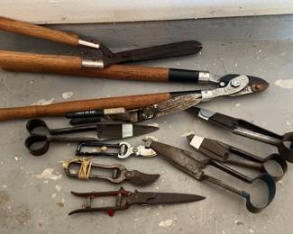 Variety Of Shears 