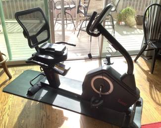 Sunny Health Recumbent Bike