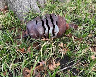Armadillo yard art