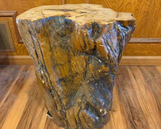 Petrified Wood Stump