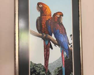 Cuban Macaws by Dallas John
