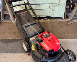 Briggs & Stratton 650 Series Lawn Mower