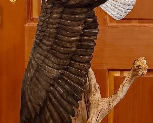Carved Eagle