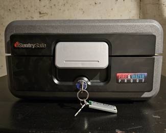 Sentry Safe