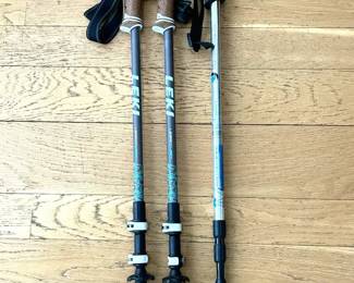 Pair of Leki Legacy Lady Trekking Poles 1 Jobar International, Inc. Antishock Trekking Pole