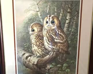 Collotype Print The Tawny Owl By Raymond Watson