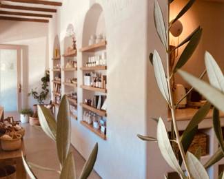 Merchandise + plants