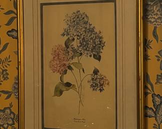 Lovely Botanical Print- One of Several