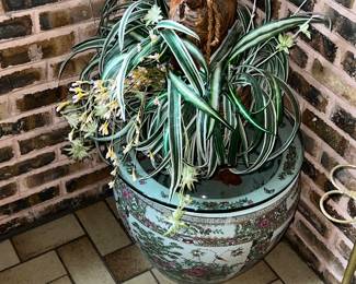 Vintage Chinese porcelain “fishbowl” planter with spider plant