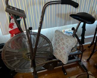 Schwinn Airdyne exercise bike