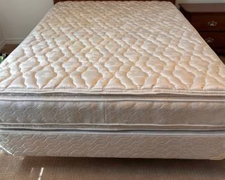 queen size double pillow top mattress and box spring