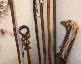 walking sticks