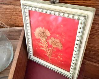 Framed pressed flower art on red background, ornate frame