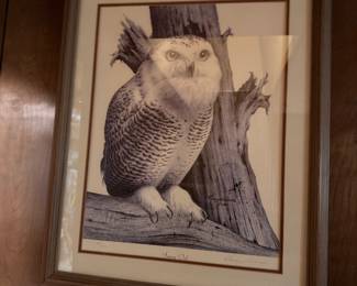 Framed owl wildlife print, matted and framed