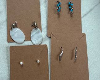 Assorted Earrings Lot