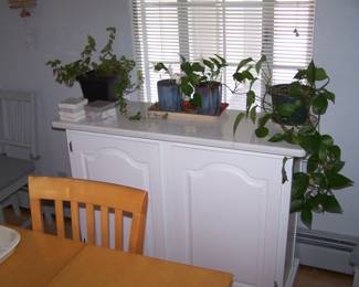 WHITE SERVER & HOUSE PLANTS