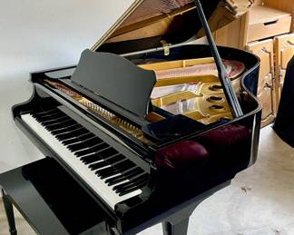 Young Chang G-185 baby grand piano.  Willing to presell.  $6500.  Call 817-729-6849. 