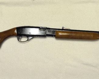 Remington 572 pump 22 lr 