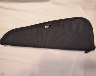 Pistol case