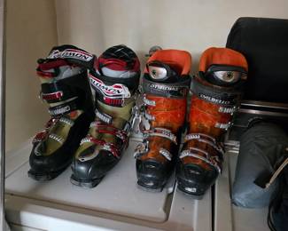 Ski boots (Salomon & Dalbello)