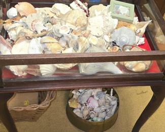 Display Cabinet - Shell Collection