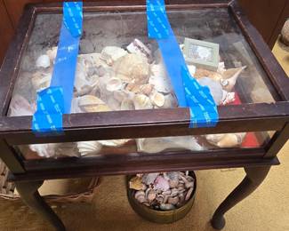Display Table - Collection of Seashells