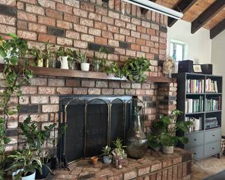 Indoor Plants and Books