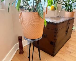 Planter & Plant Stand 