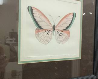 Framed butterfly print, pink green botanical illustration, nature wall art, dark wood frame decor
