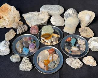 Collectible Rocks Fossils