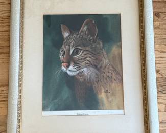 Bobcat Kitten Lithograph by Robert W. Batko
