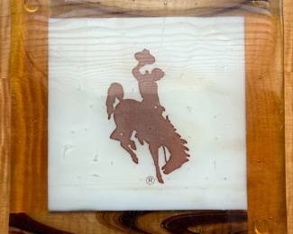 Bucking Bronco Glass Fused Glass Coaster/Trivet