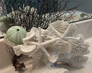 Nautical Decor Arrangement with Coral, Sea Urchin, and Starfish