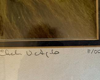  "Male Lion on the Masai Mara" Limited Edition Print