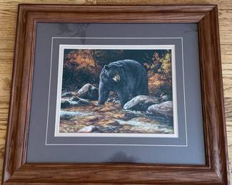 Black Bear Climbing Rocks by Millette