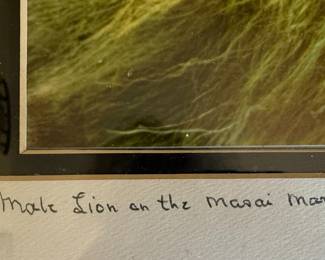 "Male Lion on the Masai Mara" Limited Edition Print