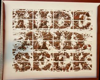 Bev Doolittle "Hide and Seek" Limited Edition Print Suite