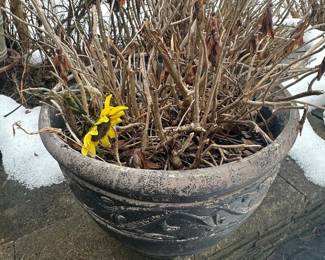 Large Decorative Resin Planter Pot with Embossed Foliage Motif second image