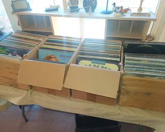 The whole display of vinyl