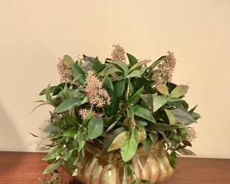 Silk plant in square pot approximately 8” , 8”. Price $15