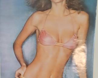 Vintage Cheryl Tiegs poster